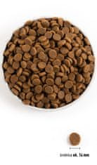 Acana Acana Heritage Senior Dog suha hrana za pse, 11,4 kg