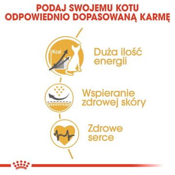 ROY Royal Canin Sphynx suha hrana za mačke, 2 kg