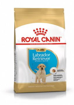 ROY ROYAL CANIN SHN Breed Labrador Junior suha hrana za pse 12 kg