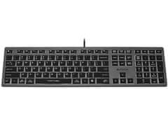 A4Tech A4T FSTYLER FX60H Tastatura, USB, QWERTY, Crna/Siva, Bijelo pozadinsko osvjetljenje