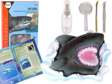 slomart LEAN TOYS Komplet za iskopavanje "Morski svijet: Morsko pseto" s amonitima