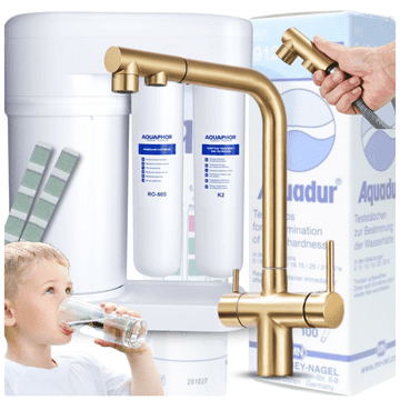 Aquaphor Morion 101S RO set filtera za pitku vodu + trosmjerna GOLD kuhinjska slavina