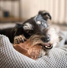 4DOG Žvakaća pasta za korijen briara 4DOGS veličina S