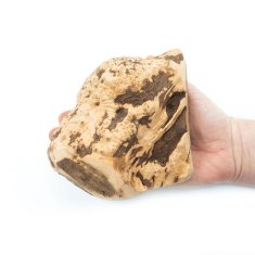 4DOG Žvakaća pasta za korijen briara 4DOGS veličina XL