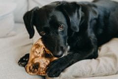 4DOG Žvakaća pasta za korijen briara 4DOGS veličina L