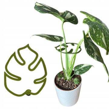 Potpora za biljke i cvijeće MONSTERA STRONG Kopča za potporu S 10 cm