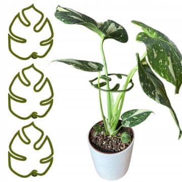 Potpora za biljke i cvijeće MONSTERA STRONG Kopča za potporu S 10cm x 3
