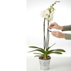 3M Univerzalna čičak traka 12 mm x 3,0 m