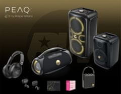 PEAQ ICONIC Vibe 4 PPA 700-RW Bluetooth zvučnik crne boje