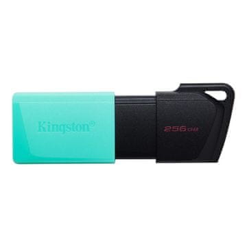 slomart Kingston DataTraveler Exodia M USB stick 256GB, USB 3.2, crni