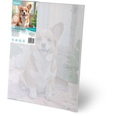 Northix Slikanje po brojevima 40x50 cm Massido Corgi pas