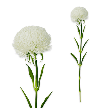 IN Grana krizanteme, pravi dodir, 51 cm, bijela