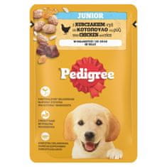 Pedigree hrana za odrasle pse 100 g s piletinom JUNIOR