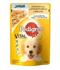 Pedigree hrana za odrasle pse 100 g s piletinom JUNIOR