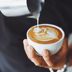 Adler AD 4494 crni spjenjivač mlijeka - spjenjivanje i zagrijavanje (latte i cappuccino)