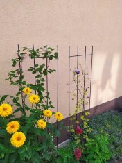 TG77602 Metalna vrtna pergola, potpora za biljke, ruže, cvijeće, set od 3 rešetke.