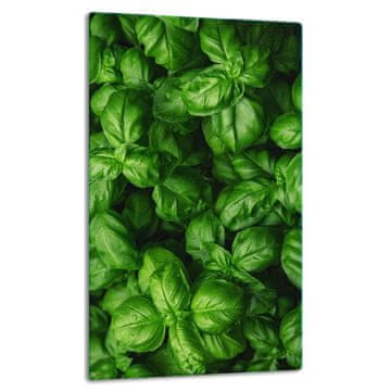 STAKLENA PLOČA STOLA 30x52 ZELENA