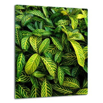 STAKLENA PLOČA STOLA 40x52 ZELENA