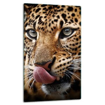 STAKLENA PLOČA, PLOČA STOLA 30x52 TIGER