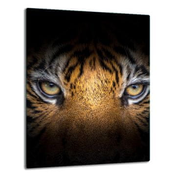 STAKLENA PLOČA STOLA 40x52 TIGER