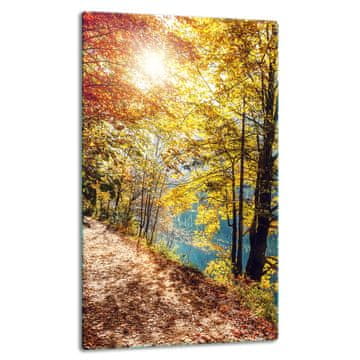 STAKLENA PLOČA STOLA 30x52 PEJZAŽNA