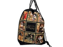 Carmani RUKSAK GUSTAV KLIMT KOLAZ SPORTSKA TORBA POKLON ZA NJU