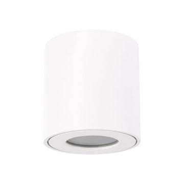 Ideus Stropna svjetiljka bijela 35W zorba DWL GU10 03954