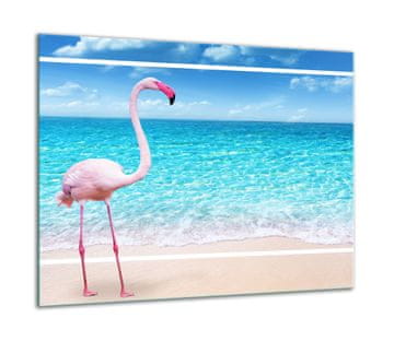ZAŠTITNA PLOČA OD STAKLA ZA ŠTEDNJAK 60x52 FLAMINGO