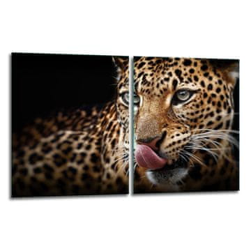 2x ZAŠTITNA PLOČA OD STAKLA ZA ŠTEDNJAK 40x52 TIGER