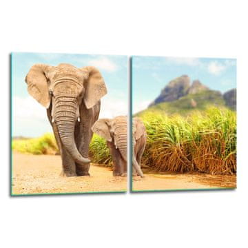 2x ZAŠTITNA PLOČA OD STAKLA ZA ŠTEDNJAK 40x52 ELEPHANT