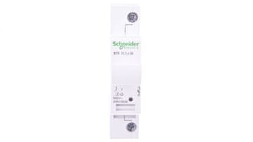 Schneider Cilindrični osigurač 1P 10x38mm A9N15636