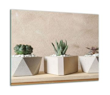 ZAŠTITNA PLOČA OD STAKLENA ZA ŠTEDNJAK 60x52 CACTUS