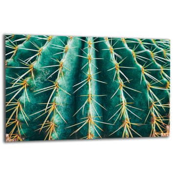 ZAŠTITNA PLOČA OD STAKLENA ZA ŠTEDNJAK 80x52 CACTUS
