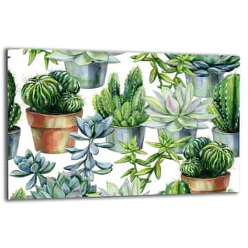 ZAŠTITNA PLOČA OD STAKLENA ZA ŠTEDNJAK 80x52 CACTUS