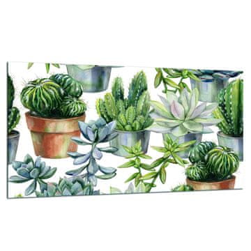 ZAŠTITNA PLOČA OD STAKLENA ZA ŠTEDNJAK 90X52 CACTUS