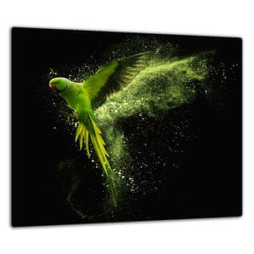 ZAŠTITNA PLOČA OD STAKLA ZA ŠTEDNJAK 60x52 PARROT