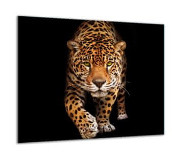 ZAŠTITNA PLOČA OD STAKLA ZA ŠTEDNJAK 60x52 TIGER