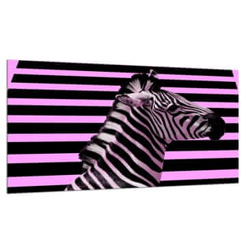 ZAŠTITNA PLOČA OD STAKLA ZA ŠTEDNJAK 90x52 ZEBRA