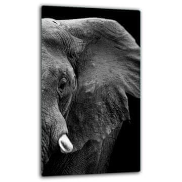 ZAŠTITNA PLOČA OD STAKLENA ZA INDUKCIJU 30x52 ELEPHANT