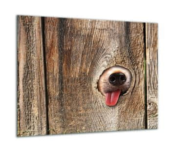 ZAŠTITNA PLOČA OD STAKLENA ZA ŠTEDNJAK 60x52 DOG