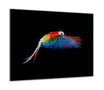 ZAŠTITNA PLOČA OD STAKLA ZA ŠTEDNJAK 60x52 BIRD