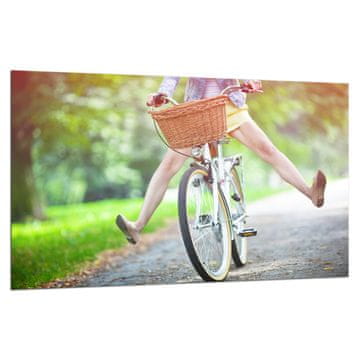 ZAŠTITNA PLOČA OD STAKLA ZA ŠTEDNJAK 80x52 BIKE
