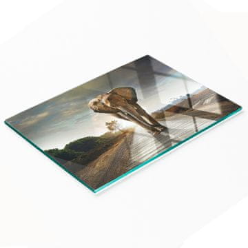 tulup.cz Daska za posluživanje od kaljenog stakla s grafikom slona 80x52 cm