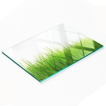 tulup.cz Daska za posluživanje od kaljenog stakla s grafikom trave 80x52 cm