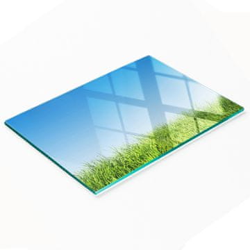 Kaljena staklena kuhinjska daska za posluživanje s grafikom trave 80x52 cm