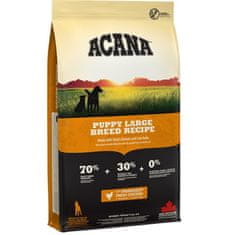 Acana Acana Puppy Large Breed - suha hrana za štence - 17 kg