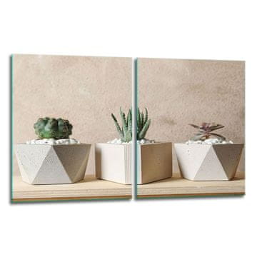 2x ZAŠTITNA PLOČA OD STAKLENA ZA ŠTEDNJAK 40x52 CACTI