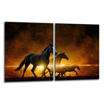 2x ZAŠTITNA PLOČA OD STAKLA ZA ŠTEDNJAK 40x52 KONJA