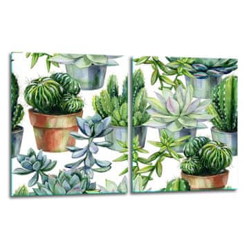 2x ZAŠTITNA PLOČA OD STAKLENA ZA ŠTEDNJAK 40x52 CACTUS