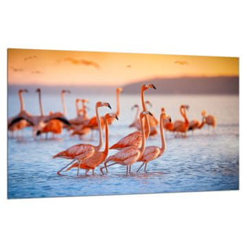ZAŠTITNA PLOČA OD STAKLENA ZA ŠTEDNJAK 80x52 FLAMINGOS